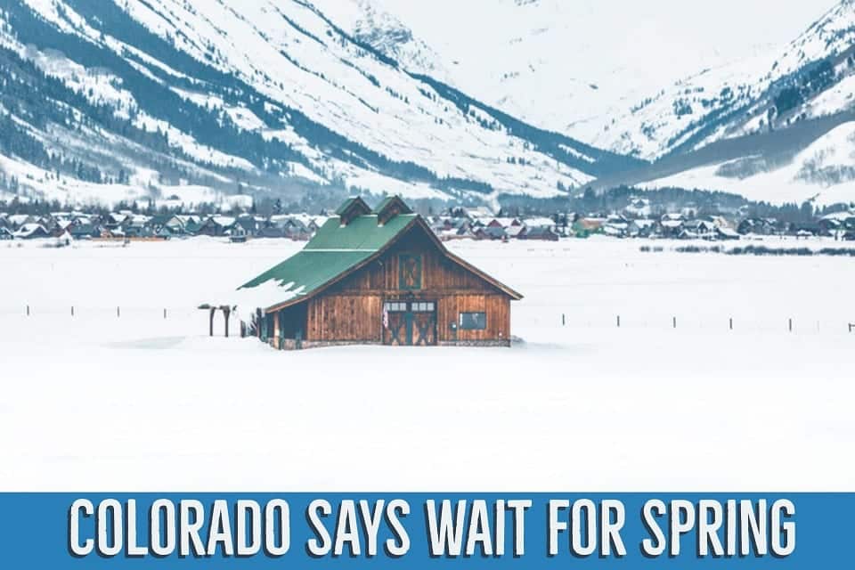 Colorado says wait for spring? Snowy cabin in the background.